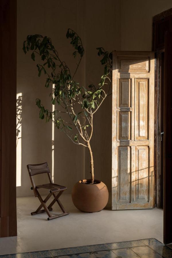 Narrativ Lofts - Numen - Stylish Hideaway Apartment Campeche Luaran gambar